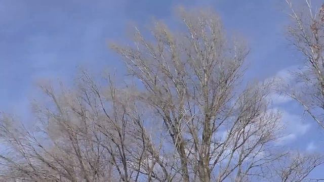 "А СЕГОДНЯ в этот день..." 6 марта смотреть онлайн