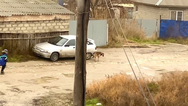 заедаю с утра вчерашнее РАССТРОЙСТВО