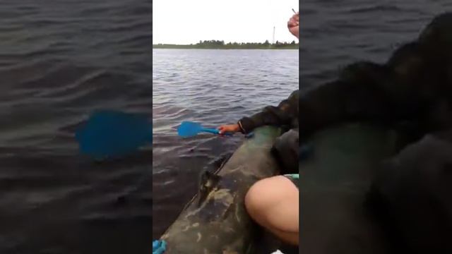 Не могли чайные ложки взять?/)) смотреть онлайн