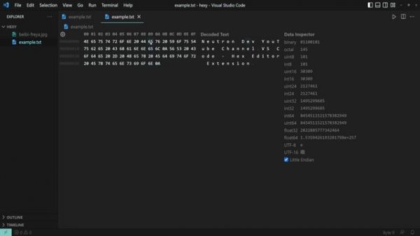 VS Code — Hex Editor Extension