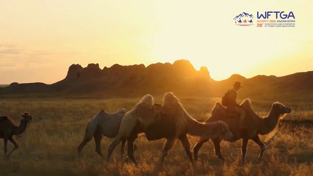 WFTGA convention 2024 Kazakhstan promotional смотреть онлайн