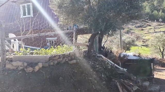 Дача по турецки смотреть онлайн