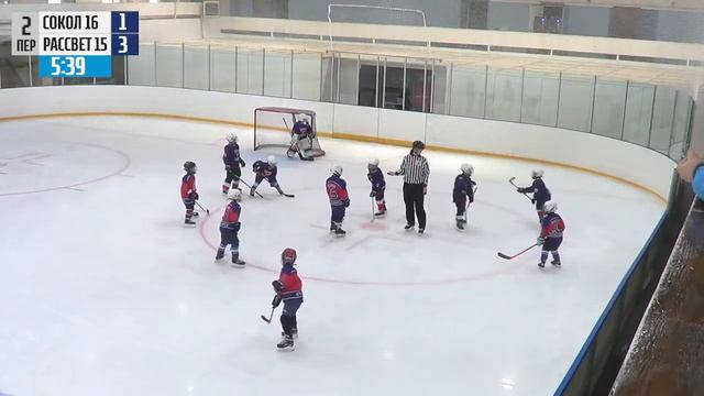 СОКОЛ 2016 - РАССВЕТ  ЛД ВАРЯГ (28.10.2023 12:00)