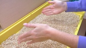 Всё, что осталось от хомяка / Что натворил кот Вася / Алиса Изи Петс /Alisa Easy Pets