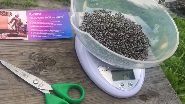 Спн 3,5-3,5-0,25 от спн рус смотреть онлайн