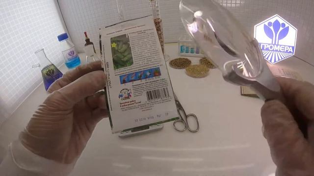 Огурец мини-корнишон Микрон. СеДеК смотреть онлайн