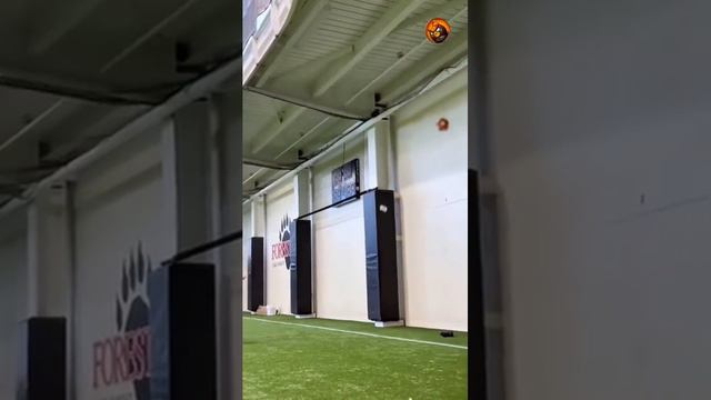 все методы хороши смотреть онлайн