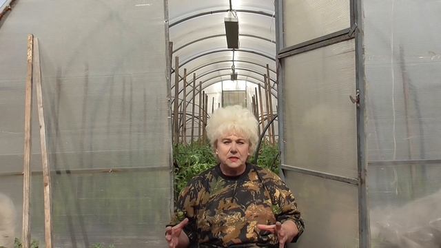 ЧТО ДОБАВИТЬ В ЛУНКУ ПРИ ВЫСАДКЕ ТОМАТОВ? Ольга Чернова. смотреть онлайн