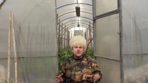 ЧТО ДОБАВИТЬ В ЛУНКУ ПРИ ВЫСАДКЕ ТОМАТОВ? Ольга Чернова.