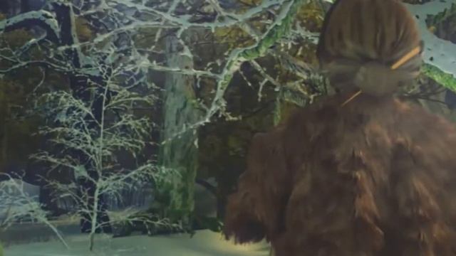 Затерянные земли. Ледяное заклятие. Коллекционное издание (трейлер) смотреть онлайн