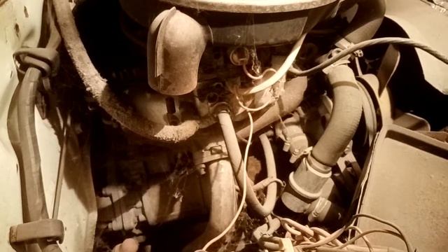 Хатико. 2106 полтора года ждала хозяина смотреть онлайн
