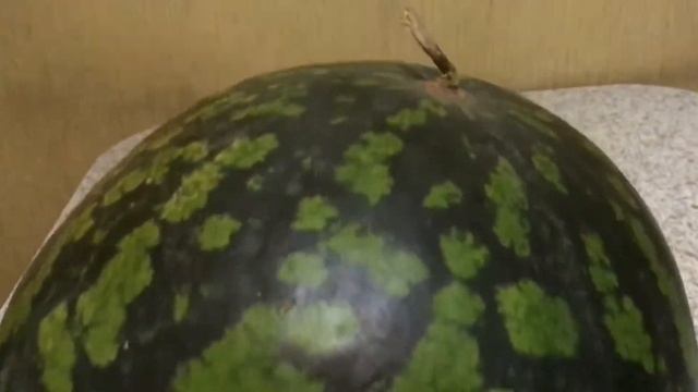 Разговариваю с арбузом | АРБУЗ ОЖИЛ | ПАРАНОРМАЛЬНЫЕ ЯВЛЕНИЯ | УЗНАЕМ ВСЮ ПРАВДУ смотреть онлайн