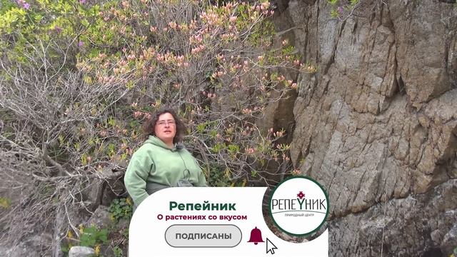 Дальний Восток. часть 1. Охота за рододендронами смотреть онлайн