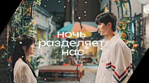┒ночь разделяет нас┖