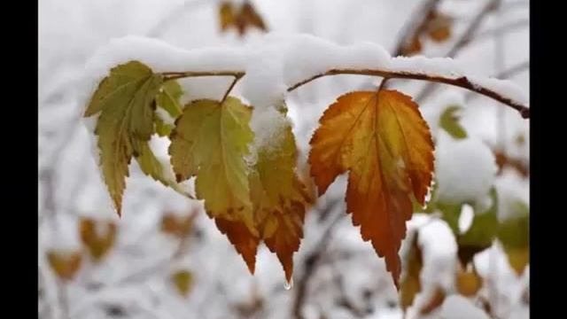 С первым снегом !!! смотреть онлайн