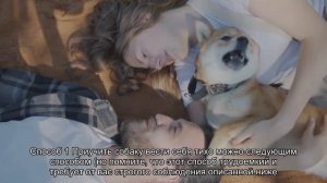 Почему собака воет: причины и что делать