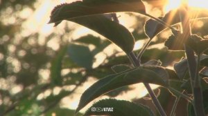 Бу Дуо Душманга Қарши Ӯқинг! Кучли Дуо! Сирлари ва Қандай ӯқишлик видеода айтилган! @ATVUZ