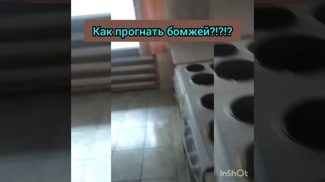 как прогнать бомжей смотреть онлайн