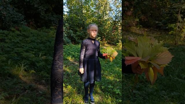Будюкина Ксения вок6 13 4 Фестиваль Открытый Мир смотреть онлайн