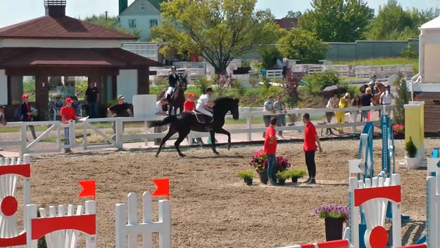 Император. Евтушенко Валерия. 110 см. Конкур в Харькове. КСК 