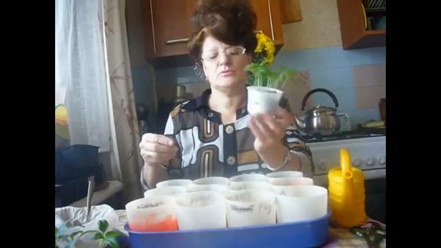 Пикирую перцы . ВПЛ. смотреть онлайн