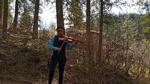 Hallelujah [Viola Cover] - Edison Abel смотреть онлайн