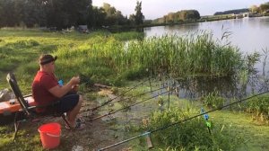 Рыбалка в Кокино на платном водоёме.