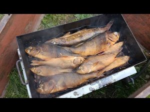 Запаслась сахарным песком. /  Коптили рыбку. / Прокатилась на велосипеде.