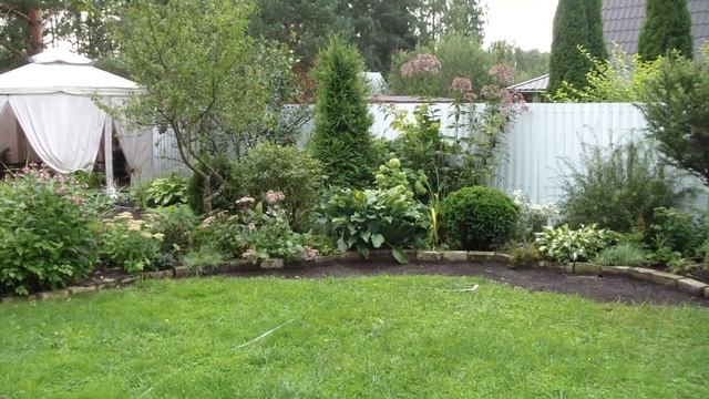 Миксбордер вдоль забора! Принцип посадки растений!