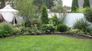 Миксбордер вдоль забора! Принцип посадки растений!