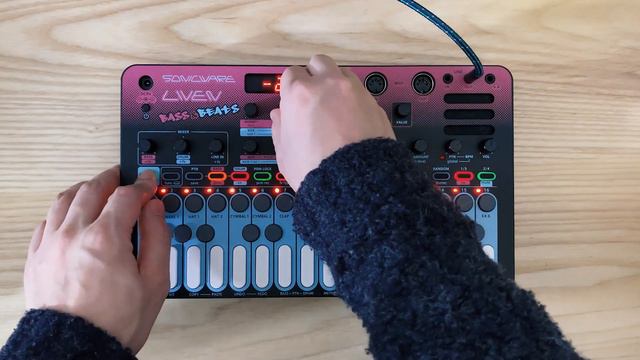 Survey Of SlowFast By Phasma (LIVEN BASS&BEATS Demo)