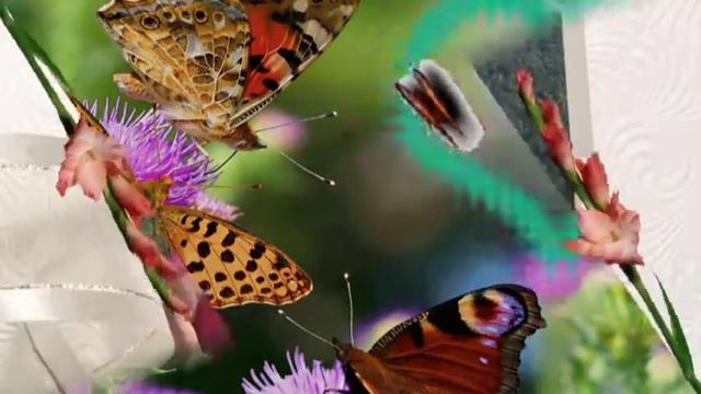 Я ТЕБЯ НИКОМУ НЕ ОТДАМ !!! смотреть онлайн