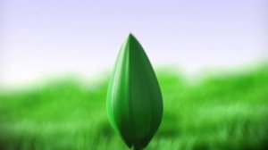 ФУТАЖ  "ПРАЗДНИК  ВЕСНЫ" в детском саду