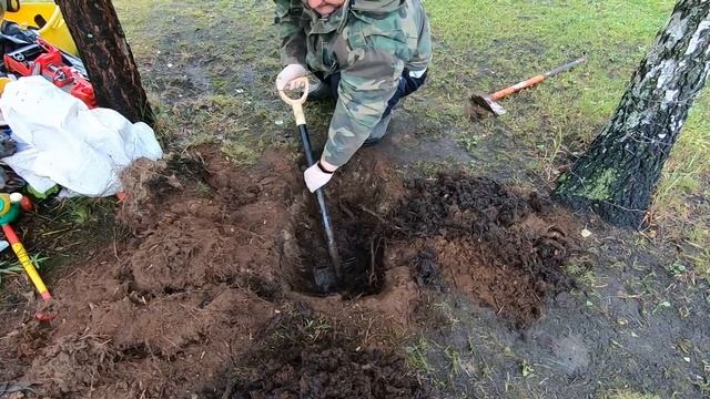лучший кролик в мире МИКРА мы его потеряли смотреть онлайн