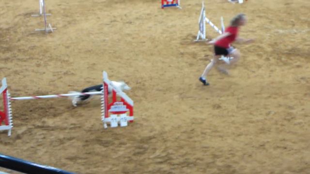 Hemi IFCS CCoA Agility Standard - Individual смотреть онлайн