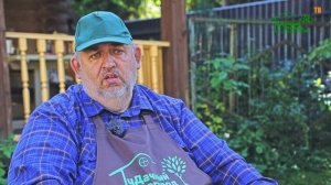 Как вырастить крупную белокочанную капусту?