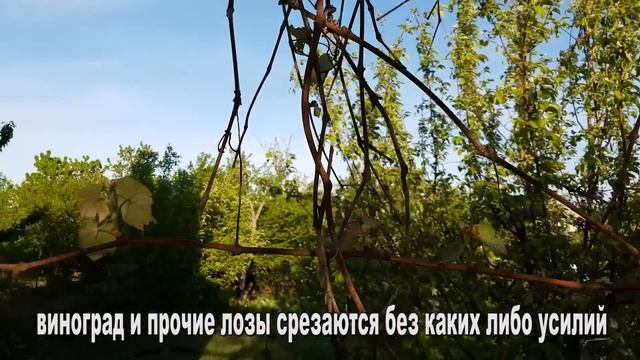 Немецкий секатор за 500 рублей Gardena смотреть онлайн