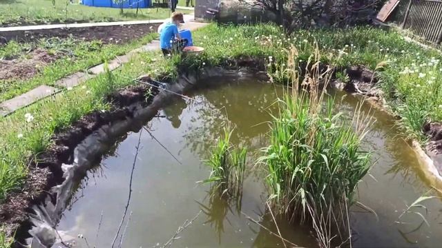 пруд на даче с карасями смотреть онлайн