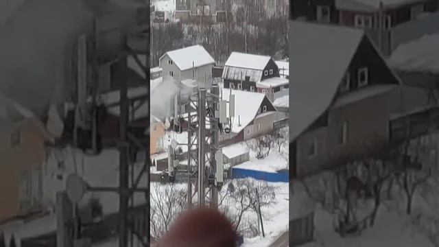 ПСИТЕРРИСТЫ МУЧАЮТ ТАКЖЕ ПИТОМЦЕВ, ВЫЗЫВАЮТ АГРЕССИЮ, БОЛИ, СУДОРОГИ, РВОТУ, ПОНОС ИТД. смотреть онлайн