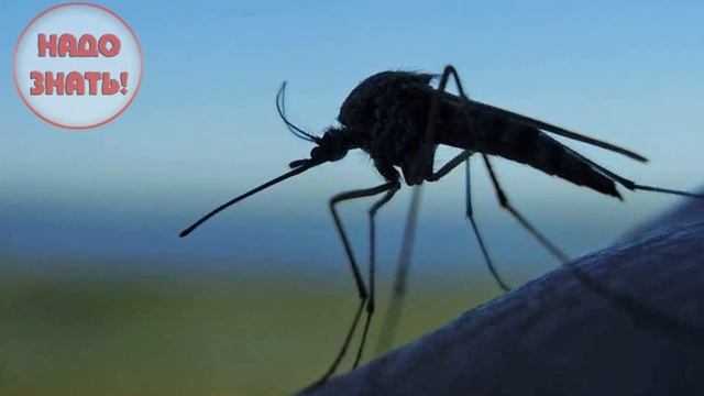 Экологический Уголок