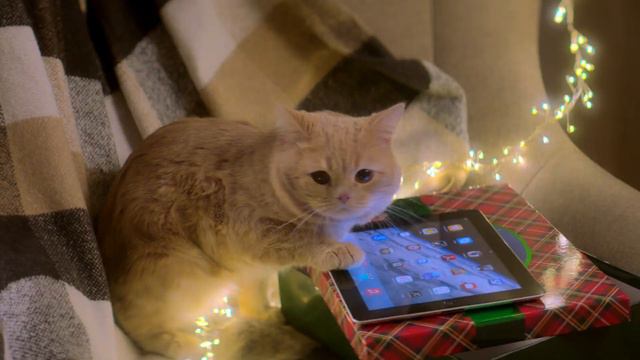 "Родной" объединяет любимых. смотреть онлайн