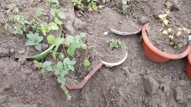 Творческий Путь к Успеху и Счастью