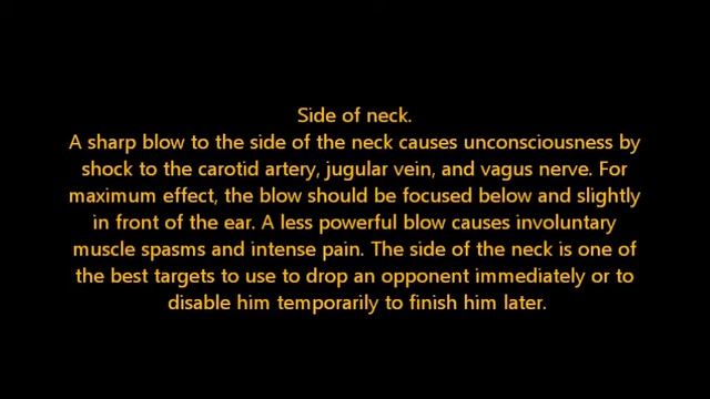 TCCS-Tactical Close Combat System смотреть онлайн