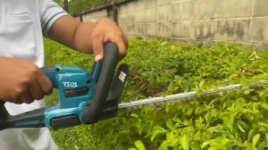 New Makita Cordless Hedge Trimmer DUH606 18v XCT | Review and Testing show.