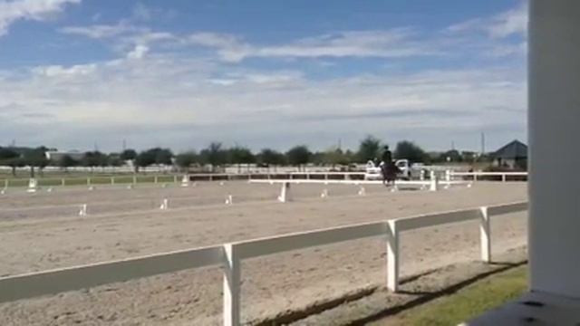 Anna & Noble 3rd Level Dressage