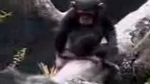 Че то жопа чешется