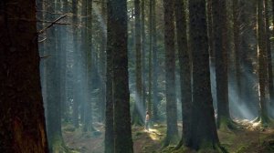 Дублинские убийства