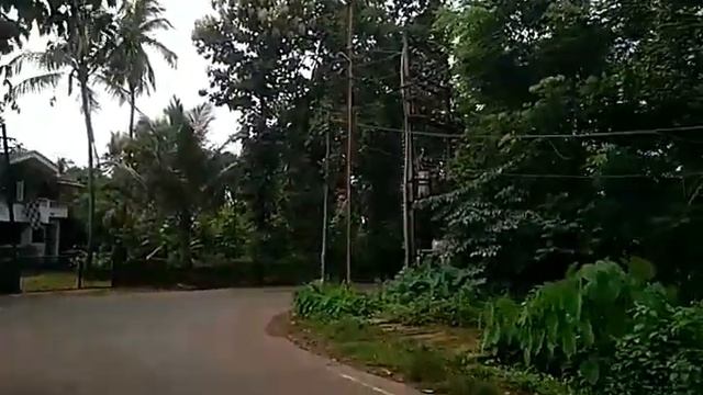 Попаданка в не магический мир. Не Фентези. Виза на выезд. смотреть онлайн