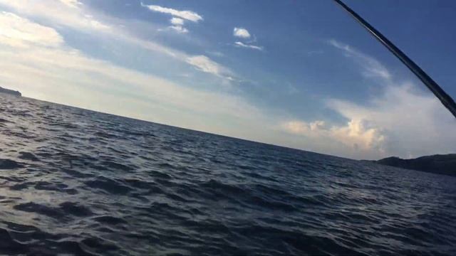 PHP 250 PER KILO NA ISDA NAHUHULI LANG SA TABING DAGAT смотреть онлайн