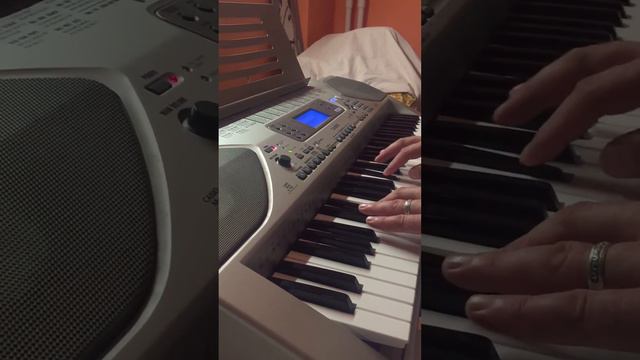 CASIO CTK-900